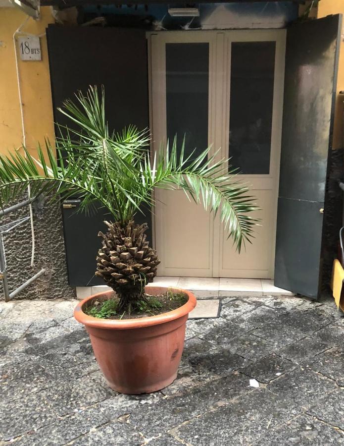 Graphite House Apartment Naples Exterior photo